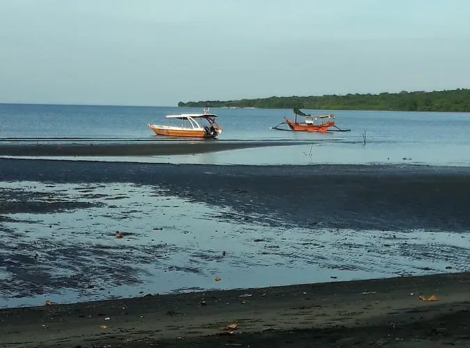 Hostal Banyuwedang Menjangan Bali Backpacker Banyuwedang