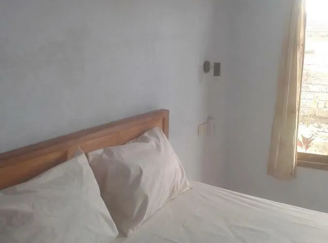 Hostal Banyuwedang Menjangan Bali Backpacker